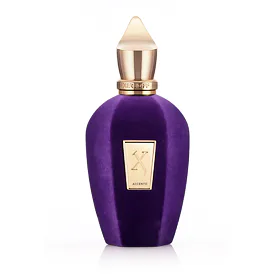 Xerjoff V Collection Accento Parfémovaná voda 100 ml tester