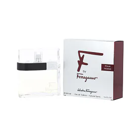 Salvatore Ferragamo F by Ferragamo Pour Homme EDT 100 ml M