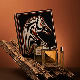 Hermès Terre D'Hermès Parfém 75 ml + Parfém 15 ml + SG na tělo i vlasy 40 ml M