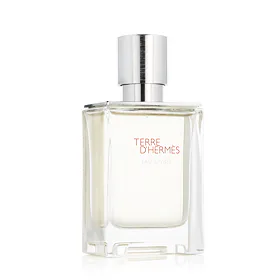 Hermès Terre D'Hermès Eau Givrée EDP plnitelný 50 ml M