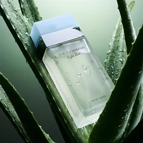 Dolce & Gabbana Light Blue EDT 100 ml W